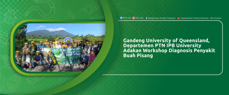 Gandeng University of Queensland, Departemen PTN IPB University Adakan Workshop Diagnosis Penyakit Buah Pisang