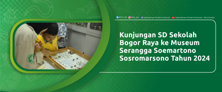 Kunjungan SD Sekolah Bogor Raya ke Museum Serangga Soemartono Sosromarsono Tahun 2024