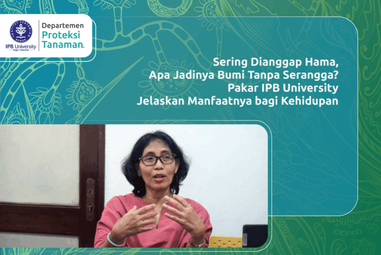 Sering Dianggap Hama, Apa Jadinya Bumi Tanpa Serangga? Pakar IPB University Jelaskan Manfaatnya bagi Kehidupan