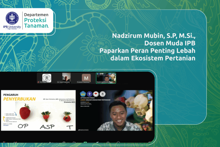 Nadzirum Mubin, S.P, M.Si., Dosen Muda IPB Paparkan Peran Penting Lebah dalam Ekosistem Pertanian