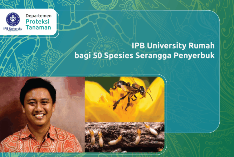 IPB University Rumah bagi 50 Spesies Serangga Penyerbuk