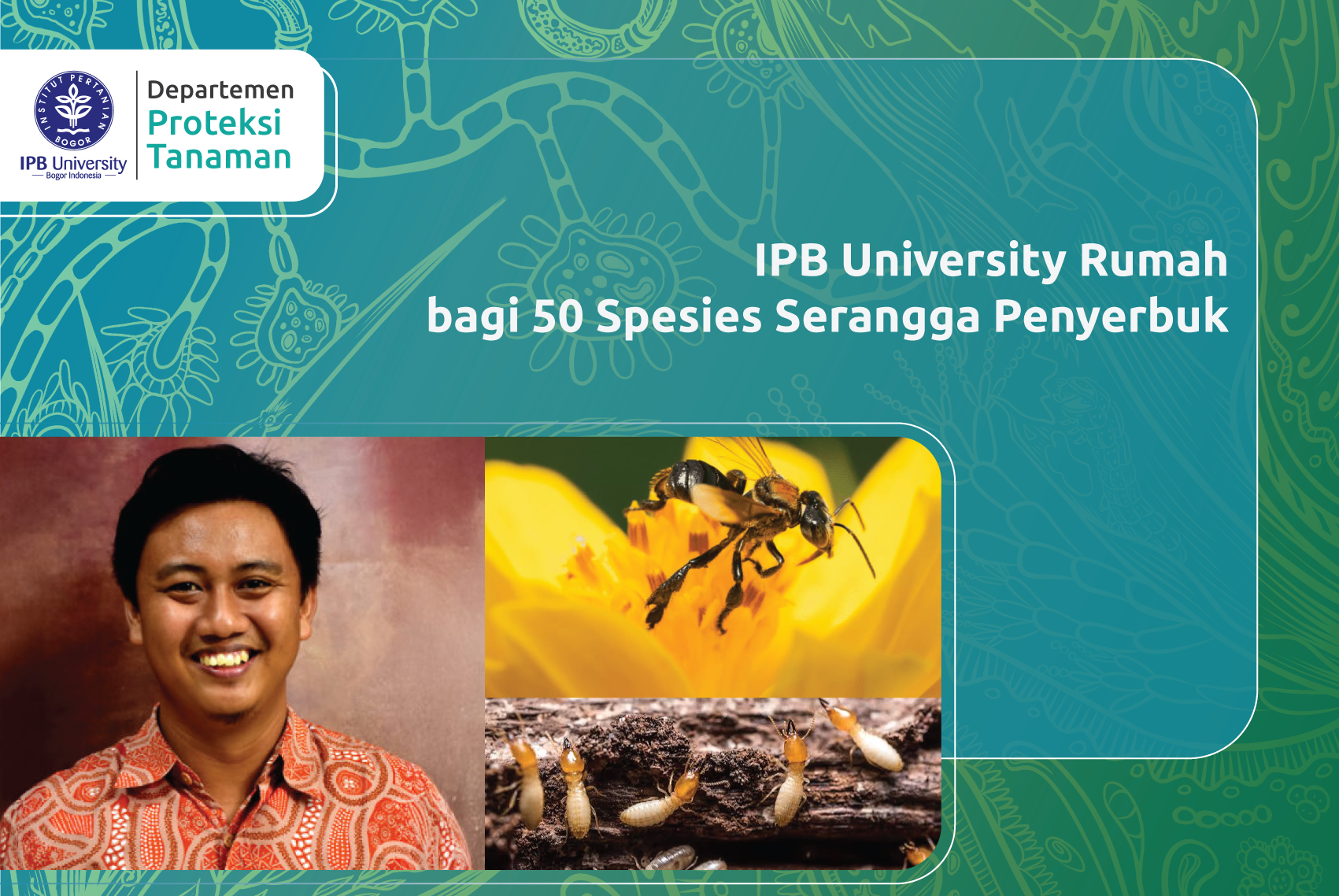 IPB University Rumah bagi 50 Spesies Serangga Penyerbuk